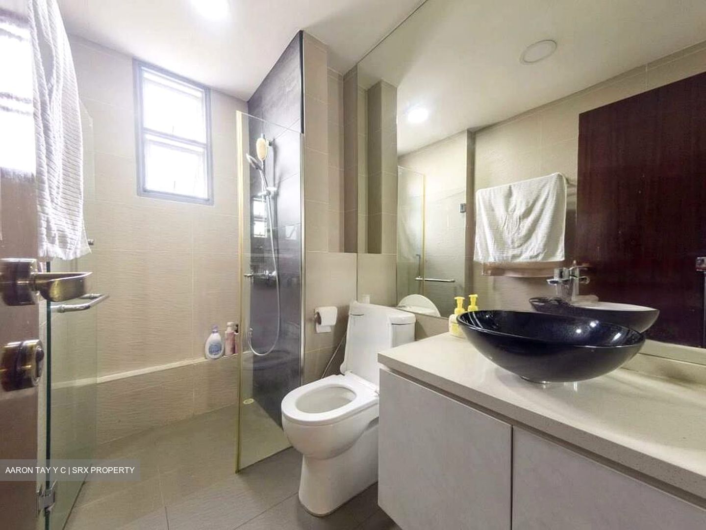 Sunhaven (D16), Condominium #632046831